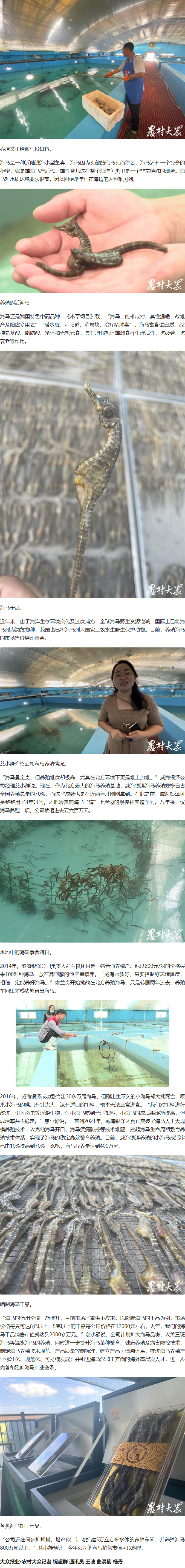 潛心攻關(guān)八年，威海一家公司終把海馬“請”上岸-今日頭條.jpg